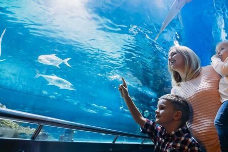 Dubai Aquarium & Underwater