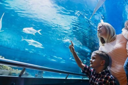The Lost Chambers Aquarium Dubai Ticket