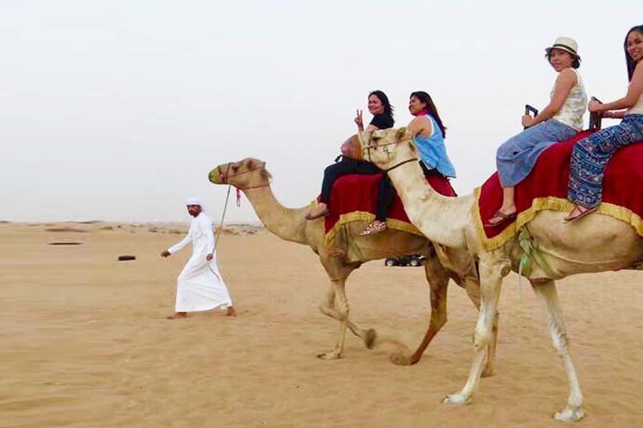 Camel Ride in Dubai