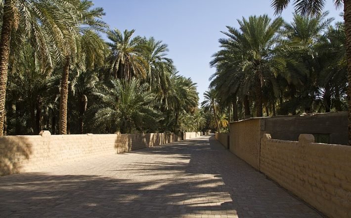 Al-Ain Oasis