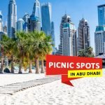 Best picnic spots in Abu Dhabi