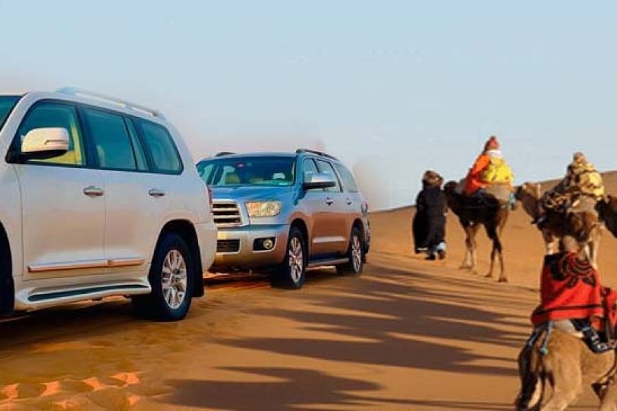 Evening desert safari in Dubai