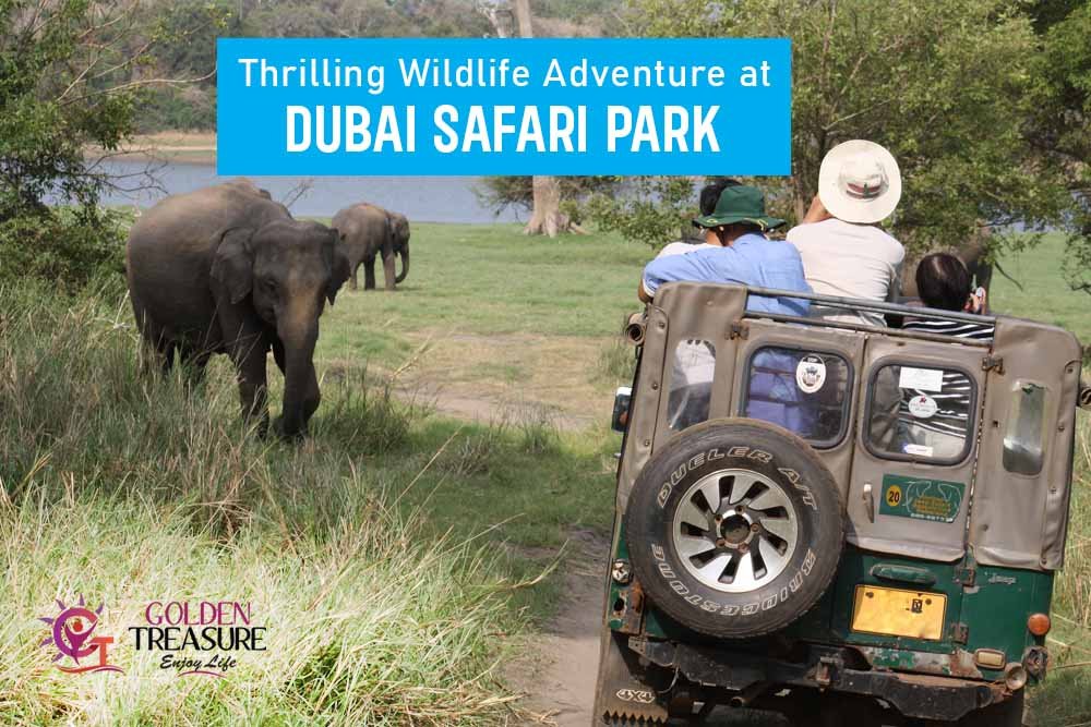 Thrilling Wildlife Adventure at Dubai Safari Park