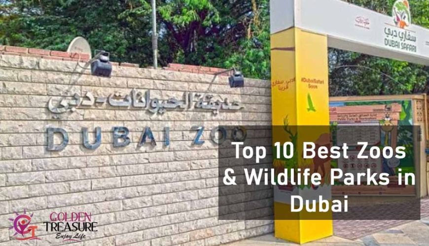 Best Zoos & Wildlife Parks in Dubai
